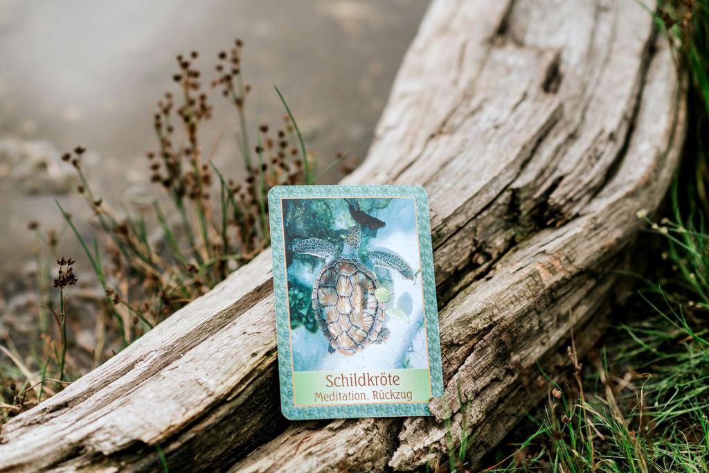 Daneshmayeh Marion - Tarot