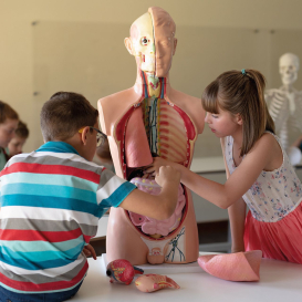 AdobeStock_528155689