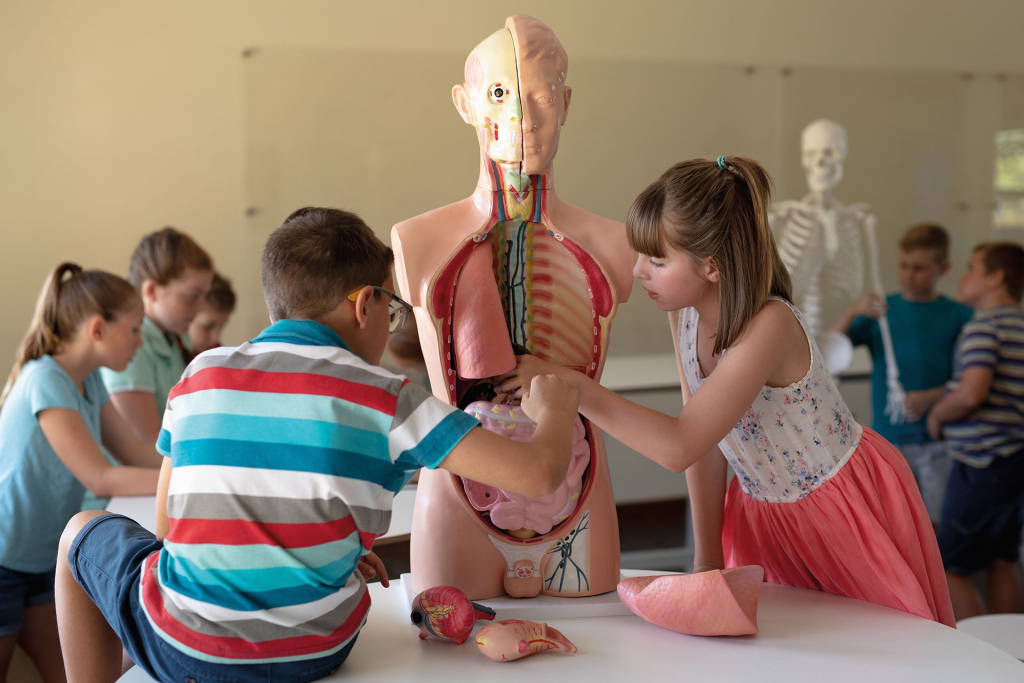 AdobeStock_528155689